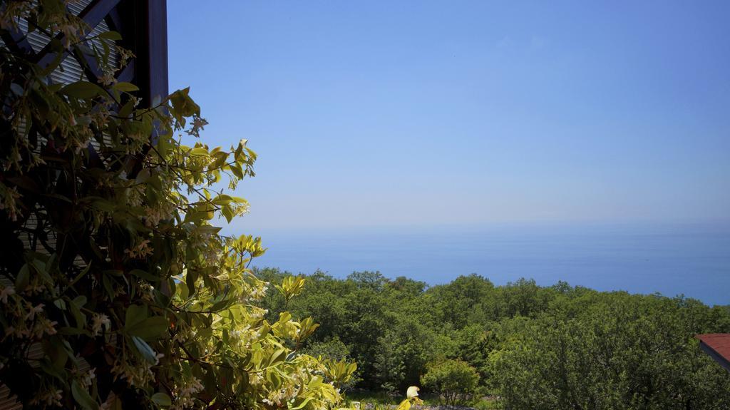 Apartmani Zona Sveti Stefan Buitenkant foto